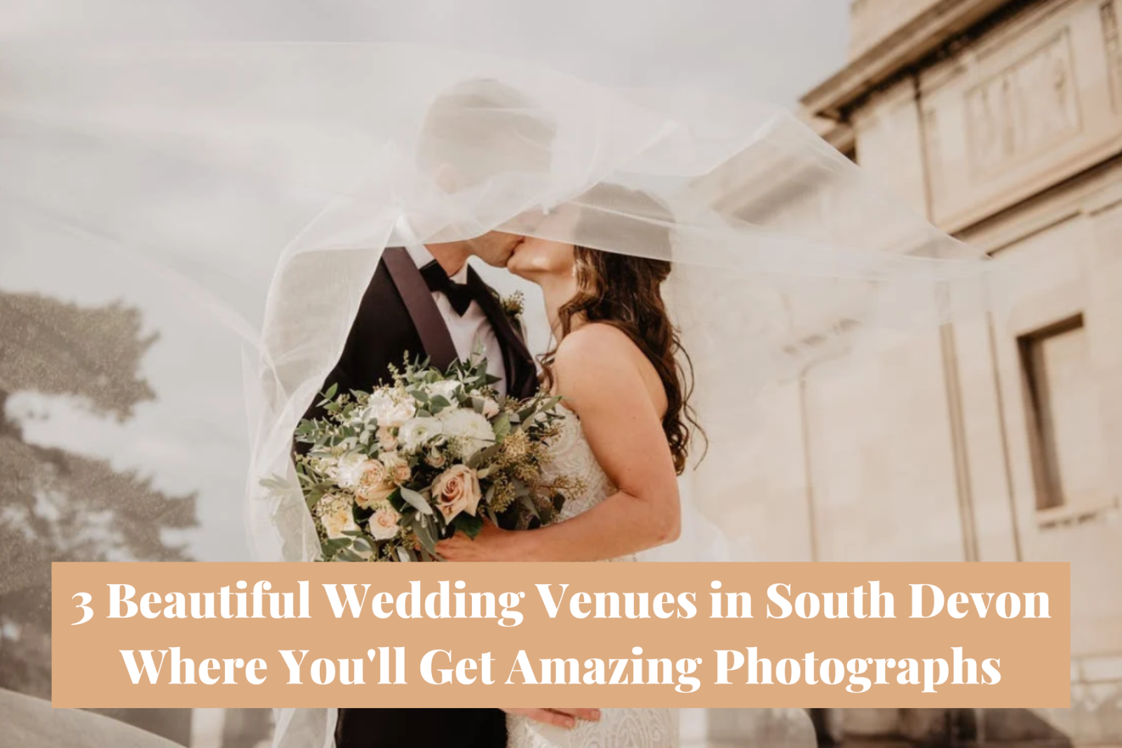 Beautiful wedding locations in South Devon